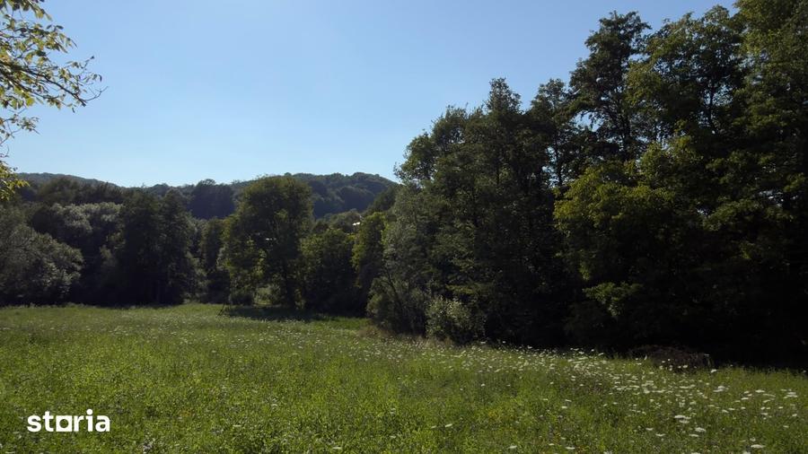 Teren Parau | Valea Danului, Curtea de Arges | Vidraru | - 4
