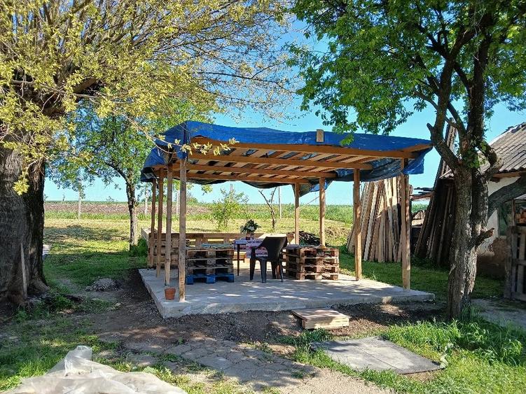 Casă cu 6 camere cu Teren 1600 Mp în Siliștea
