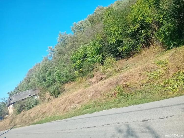 Casă cu 2 camere cu Teren 7000 Mp în Salatiu