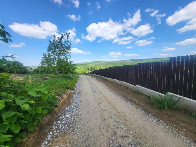 Teren Construcții intravilan de 900 mp, în Bârnova