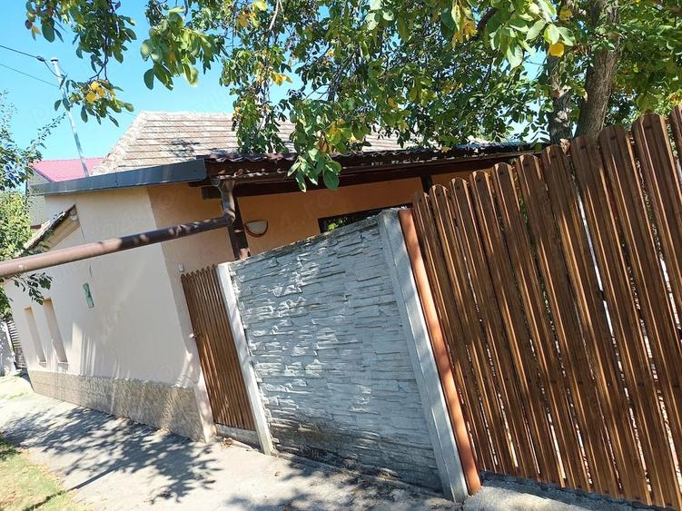 Casă cu 5 camere cu Teren 1530 Mp în Orțișoara