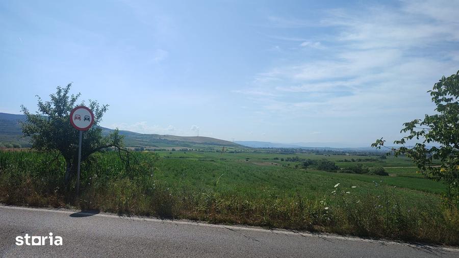 Teren de 70000 mp, în Bârsău