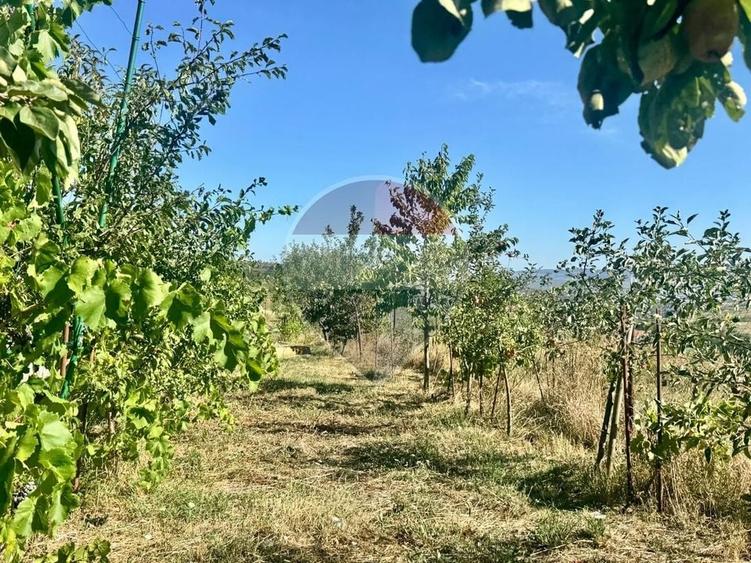 Teren agricol extravilan de 579 mp, în Chinteni