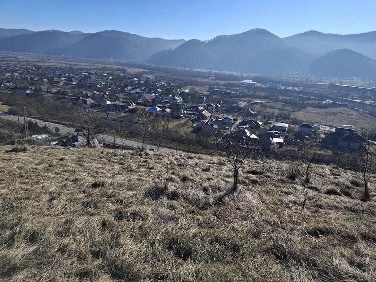Teren de 1434 mp, în Viișoara