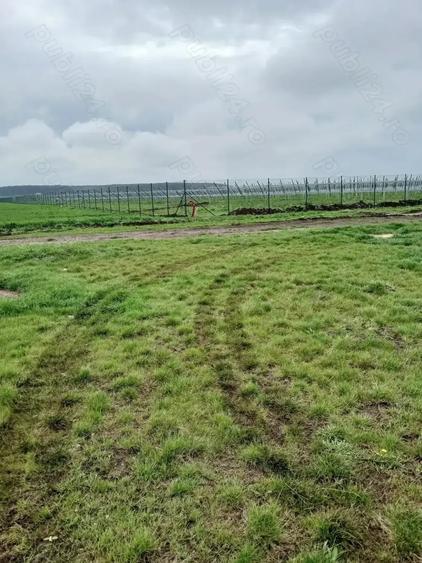 Teren de 27000 mp, în Vânători