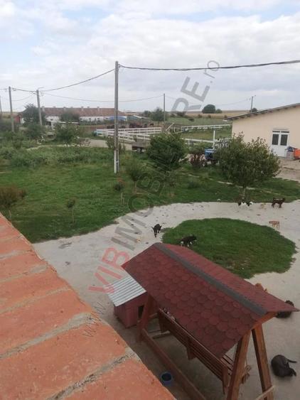 Teren de 95000 mp, în Cerneteaz