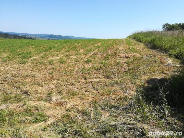 Teren de 3500 mp, în Vechea