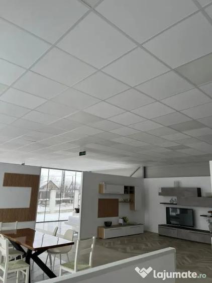 Spațiu comercial, de 460 mp, în Giubega