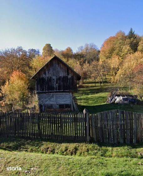 Teren de 4830 mp, în Godeni