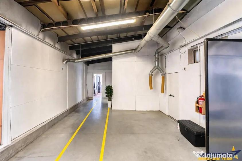 Parc industrial modernizat, acces bilateral, potential remar - 4