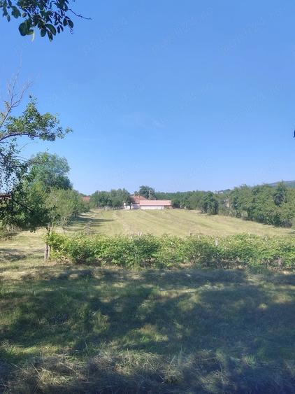 Teren de 6800 mp, în Polovragi