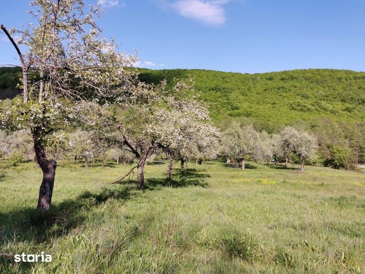 Teren de 680 mp, în Budeasa