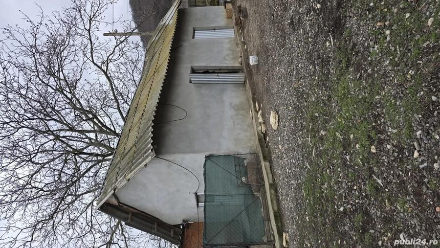 Casă cu 5 camere în Central