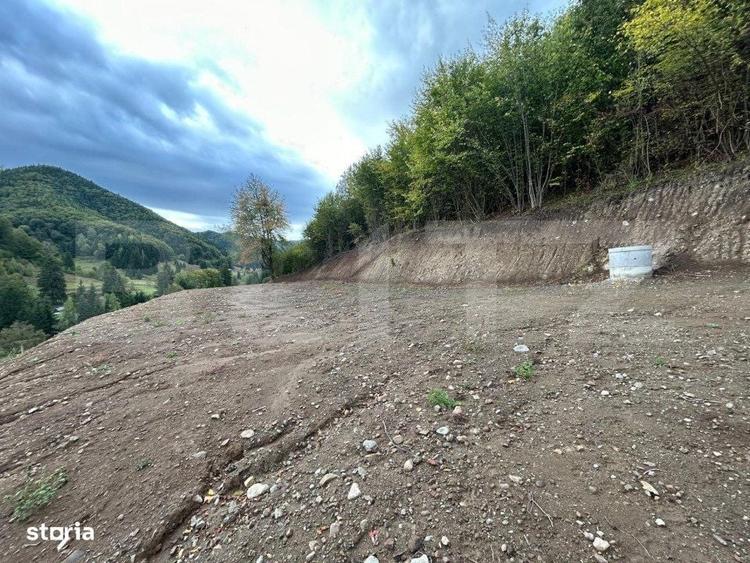 Teren intravilan 1,1 Ha, zona Bargau - 6