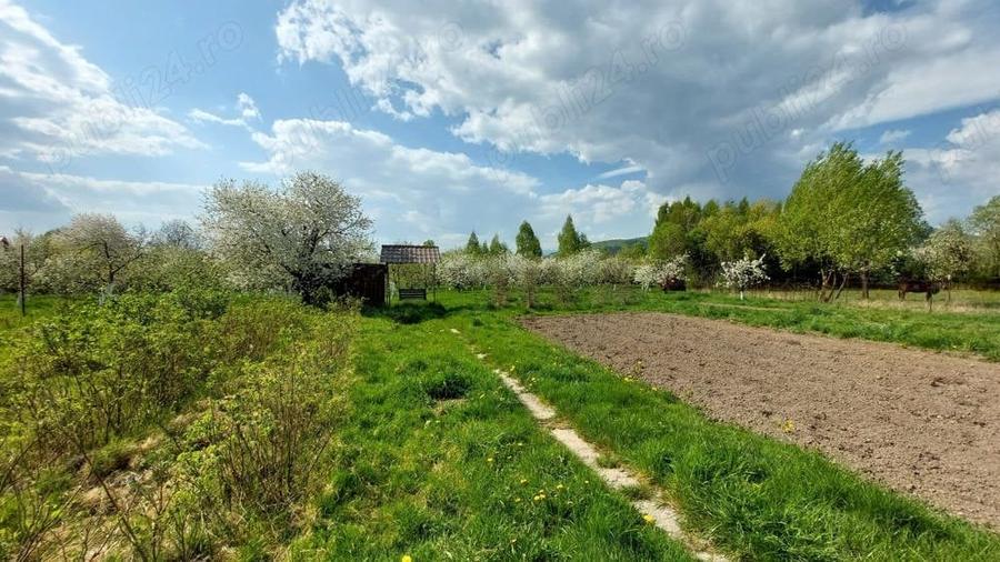 Teren de 5000 mp, în Pietroasa