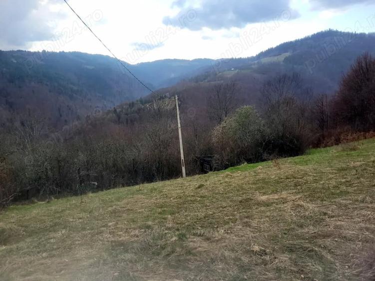 Teren în Central