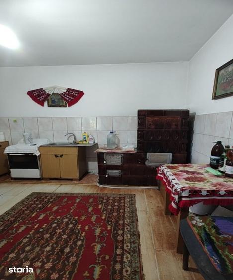 Casă cu 5 camere cu Teren 250 Mp în Baia de Criș