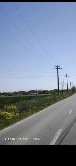 Teren de 4900 mp, în Bozieni