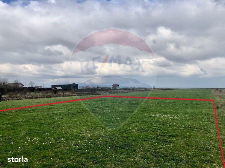 Teren de 500 mp, în Tărlungeni