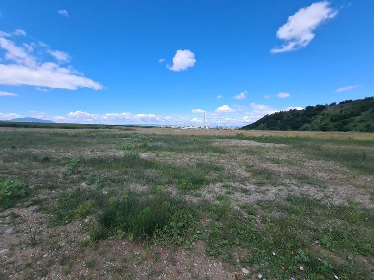 Teren Construcții intravilan de 7348 mp, în Triaj