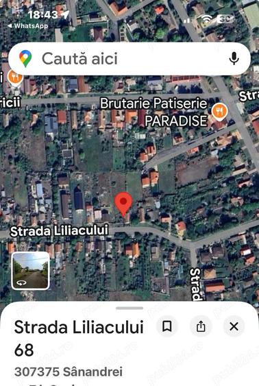 teren intravilan 897 mp Sanandrei, strada asfaltata - 50.000 - 1