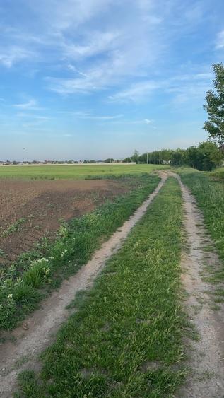 Teren vanzare Otopeni, str Panait Istrati. 1200 mp propus intravilan. zona buna - 6