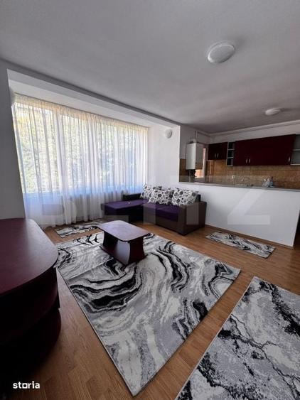 Apartament cu 2 camere decomandat în Viișoara