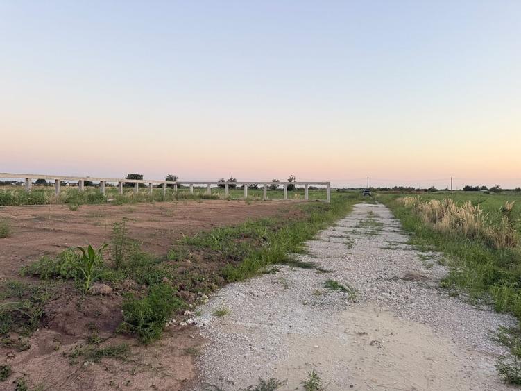 Teren agricol extravilan de 1000 mp, în Exterior Est
