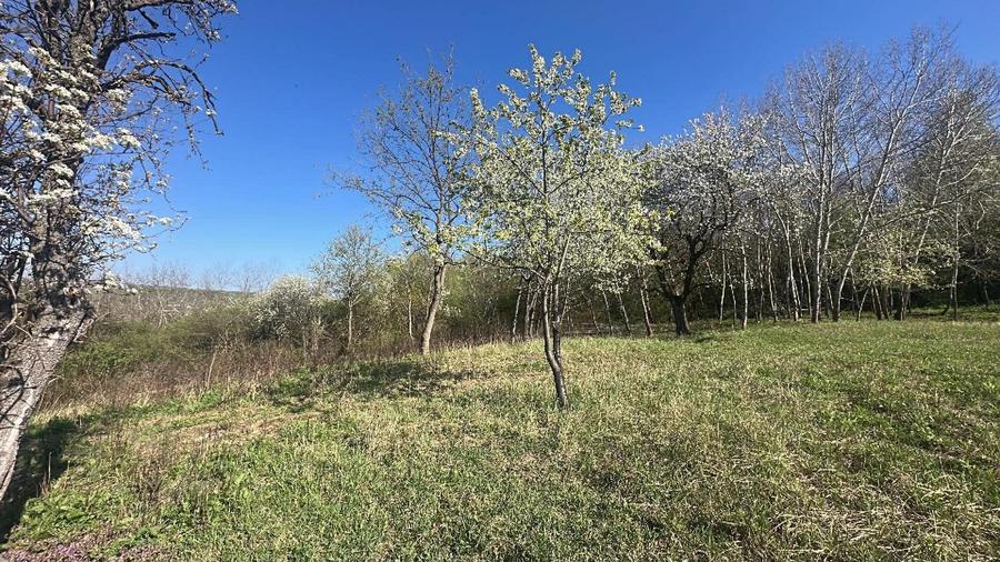 Spațiu comercial, în Uileacu de Munte