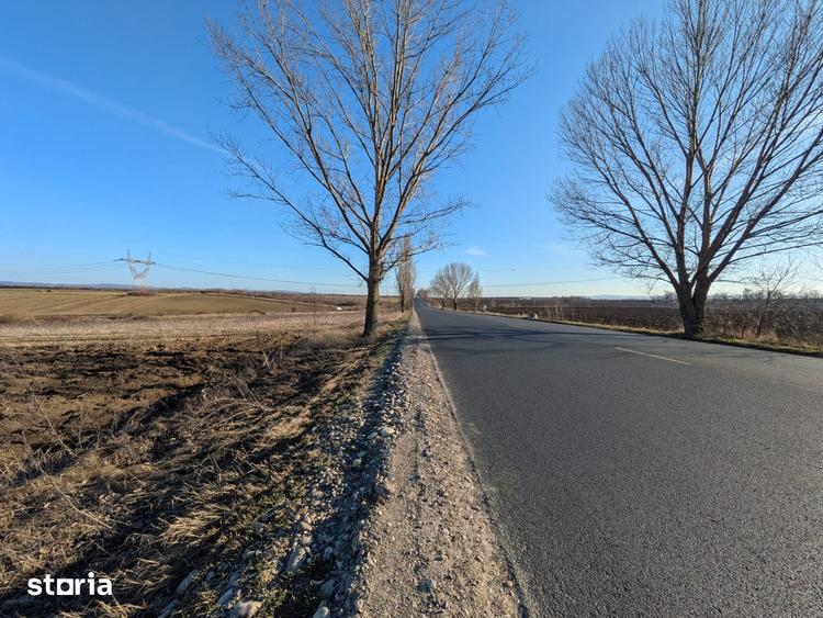 Teren de 10000 mp, în Săucești
