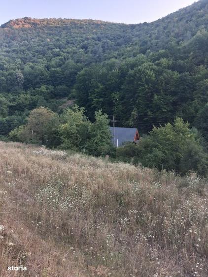 Teren de 1000 mp, în Teliucu Superior