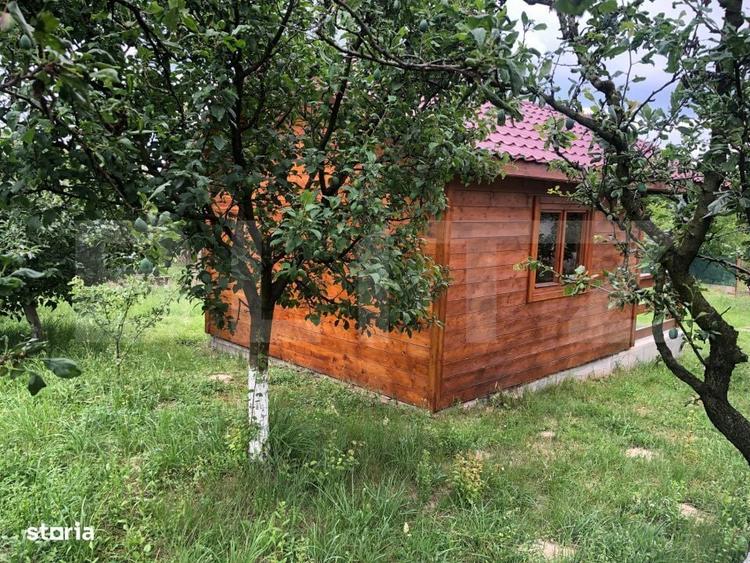 Teren de vanzare cu cabana si livada zona Viile Satu Mare - 8
