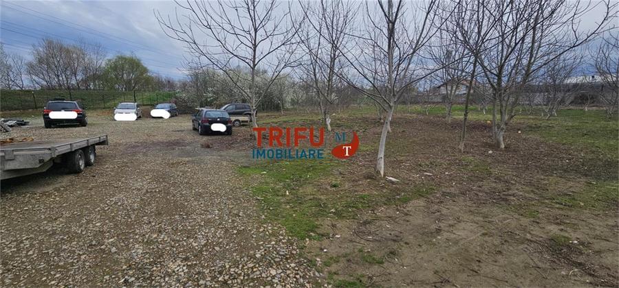 Teren Construcții intravilan de 5500 mp, în Ampoi 1