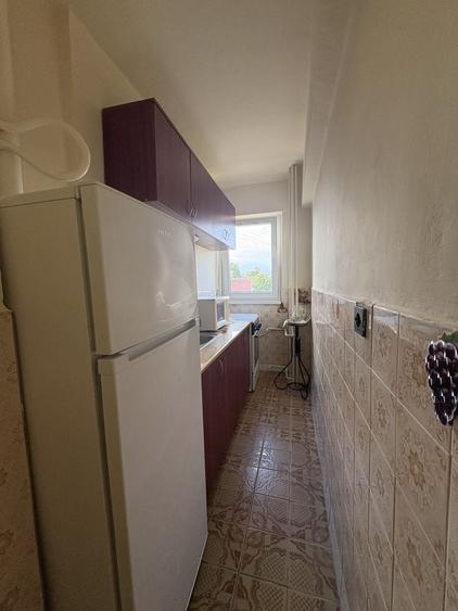 Apartament 1 camera zona Uta - 2