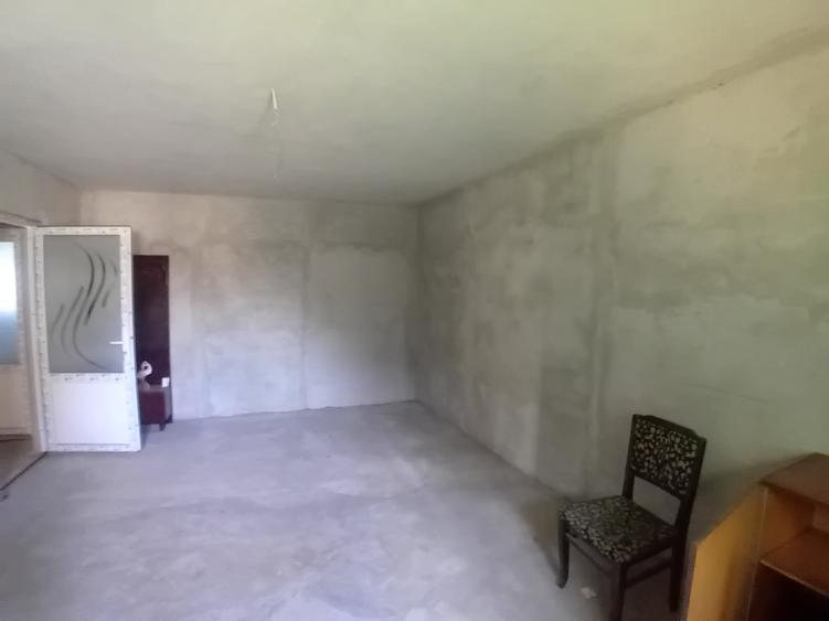 Casa Moreni 270 mp jud. Neamt - 10
