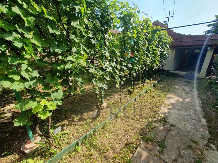 Casă cu 2 camere cu Teren 421 Mp în Plopi
