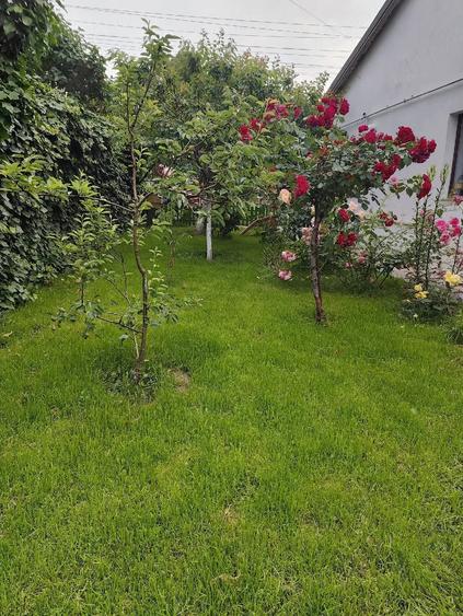 Casă cu Teren 485 Mp în Central