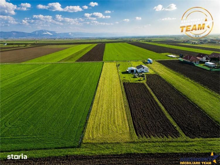 Spațiu comercial, în Chilieni