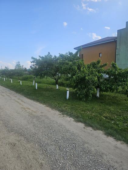 Spațiu comercial, în Afumați