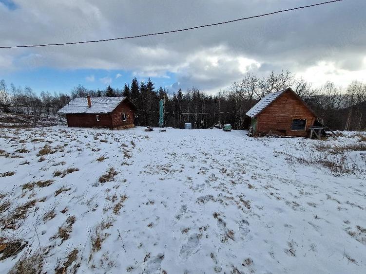 Teren de 10000 mp, în Râșca