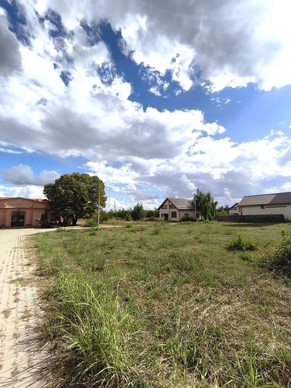 Teren intravilan de 30000 mp, în Călugăreni