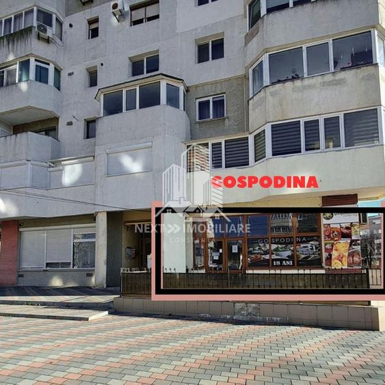 Spațiu comercial, de 74.01000213623 mp, în Central