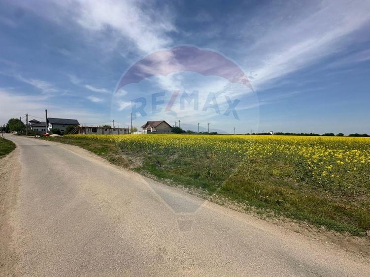 Teren Construcții intravilan de 545000 mp, în Dragomirești-Vale