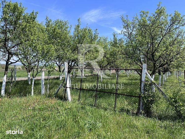 Casă cu 1 camere în Chijic
