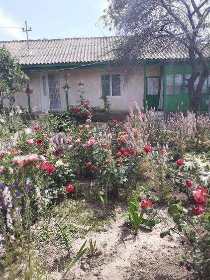 Casa de vanzare la Revarsarea, jud. Tulcea