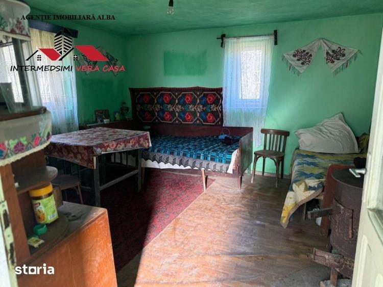 Casa si anexe cu un teren de 7701 mp de vanzare in Stauini Jud Alba - 13