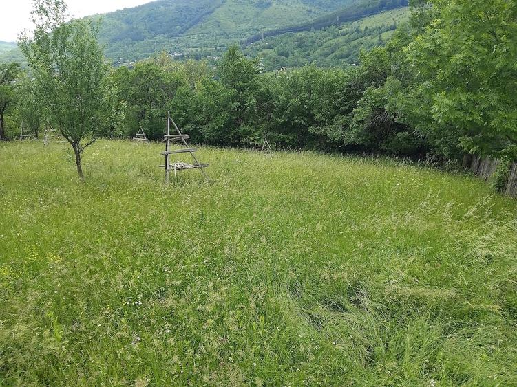Teren de 1200 mp, în Valea Doftanei