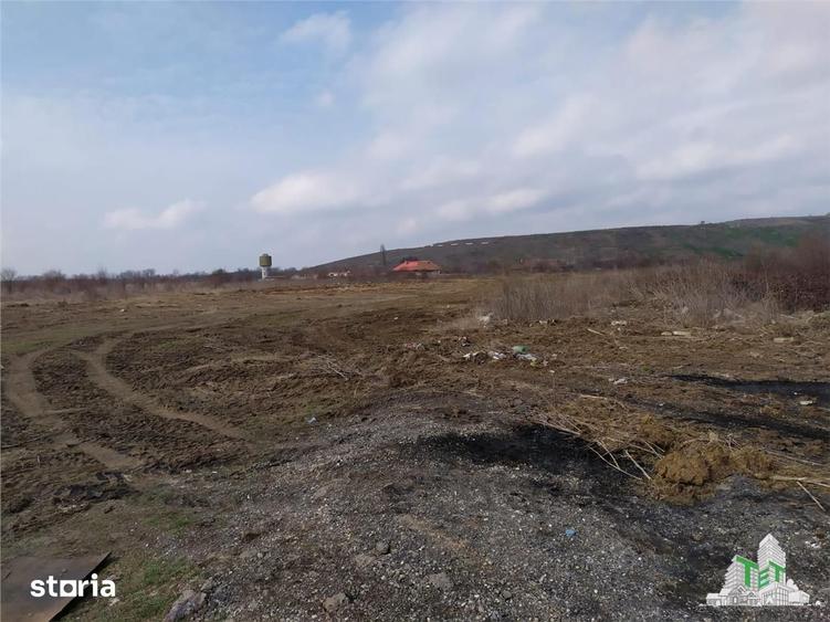 Teren intravilan de vanzare 28.200 mp Bucuresti Sector 6 - 4