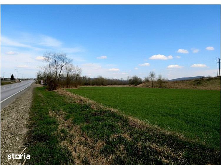 Teren de 12400 mp, în Pătrăuți