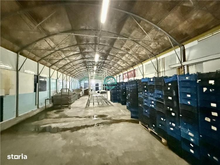 Spațiu comercial, în Central